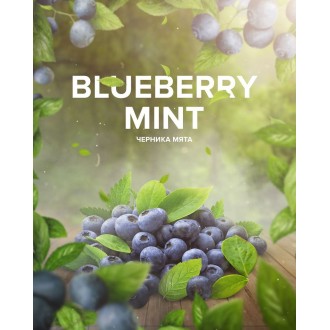 Бестабачная смесь 420 Hookah Tea Blueberry Mint (Черника с мятой) (125 грамм)