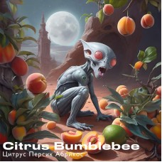 Тютюн Euphoria Citrus Bumblebee (Цитрус, персик, абрикос) 100g