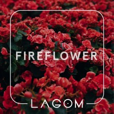 Тютюн Lagom Fireflower (Квітковий аромат з прянощами) (40 грамів)