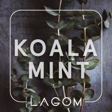 Тютюн Lagom Koala Mint (Орбіт з евкаліптом) (40 грамів)
